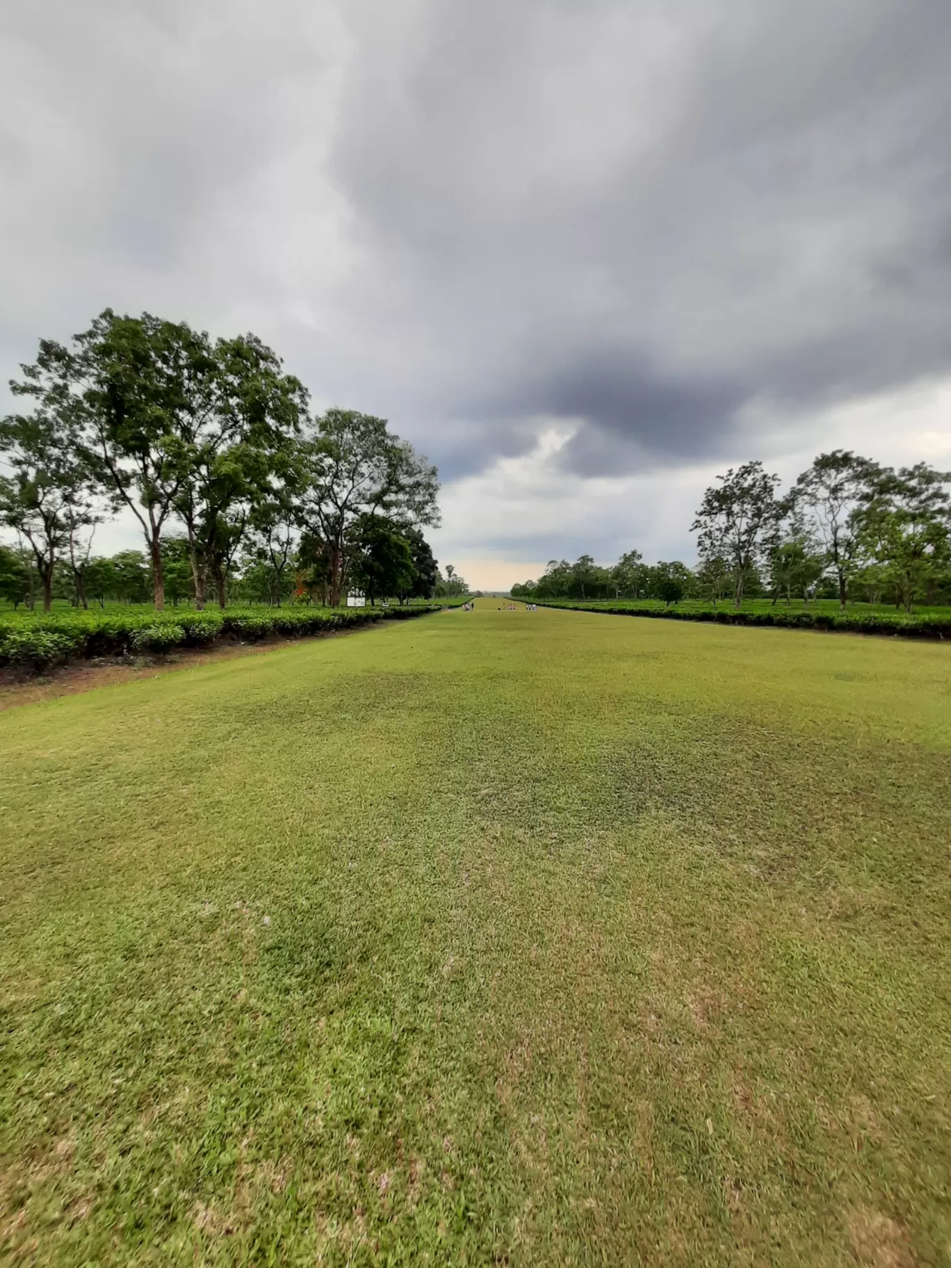 Photo of Udalguri Koramore Road By Pankaj Mehta Traveller