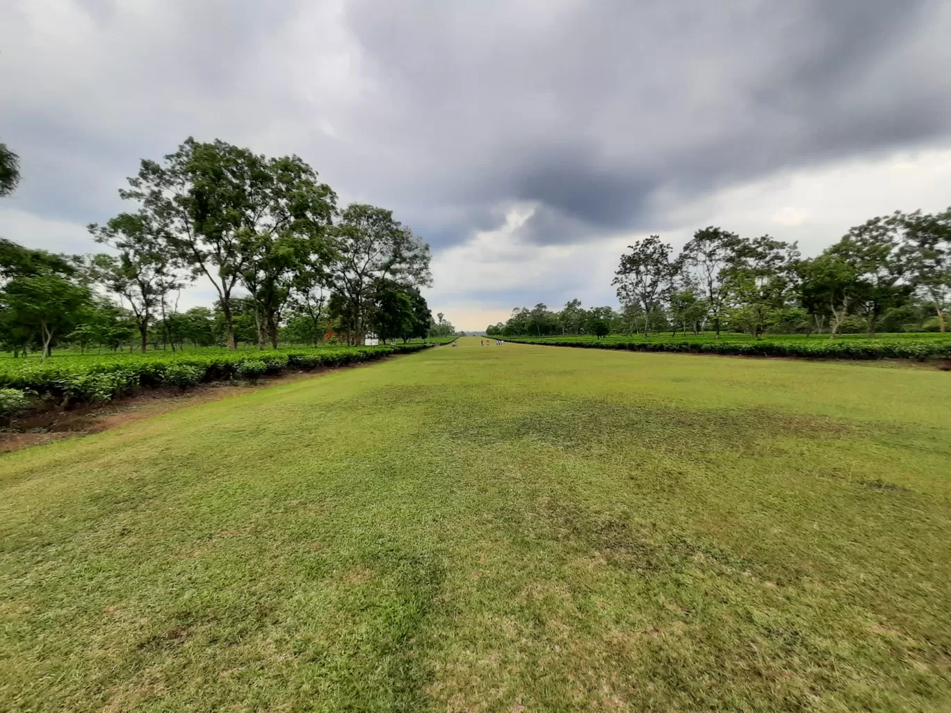 Photo of Udalguri Koramore Road By Pankaj Mehta Traveller