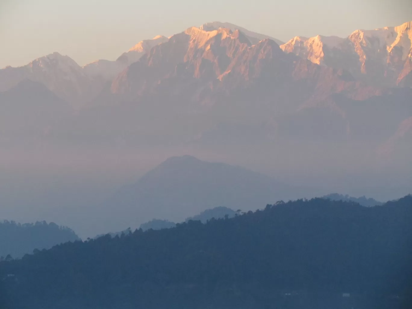 Photo of Chaukori By Pankaj Mehta Traveller