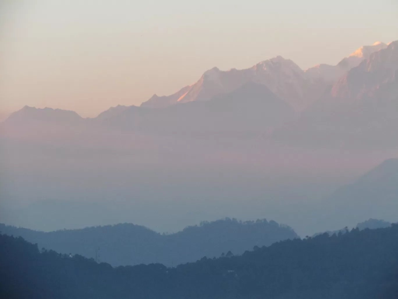 Photo of Chaukori By Pankaj Mehta Traveller