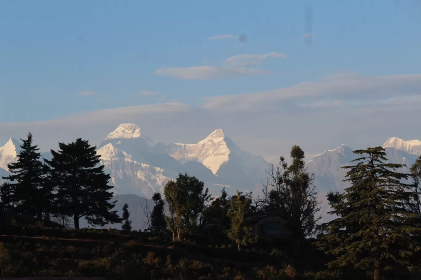 Photo of Chaukori By Pankaj Mehta Traveller