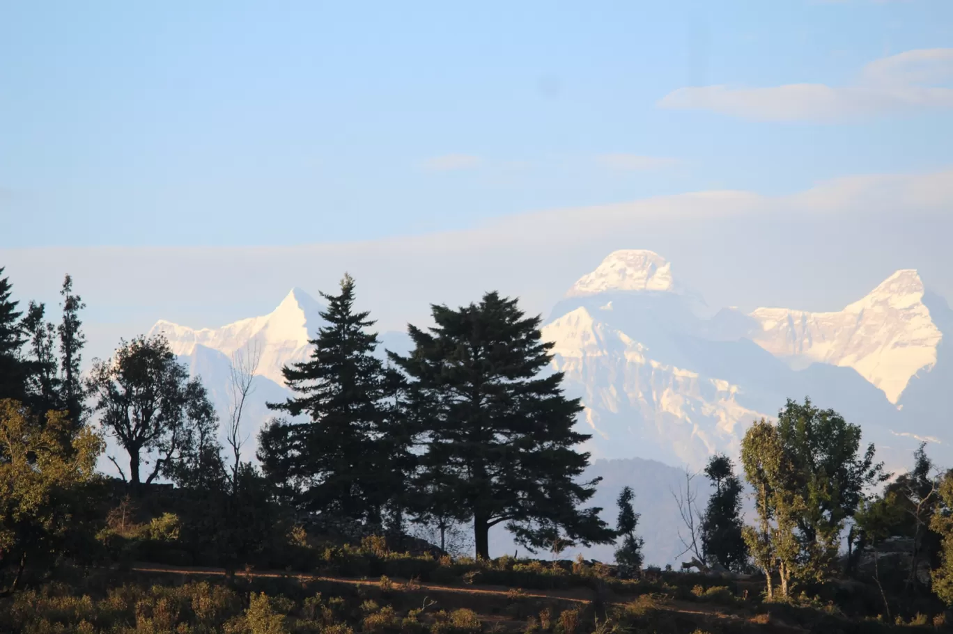 Photo of Chaukori By Pankaj Mehta Traveller