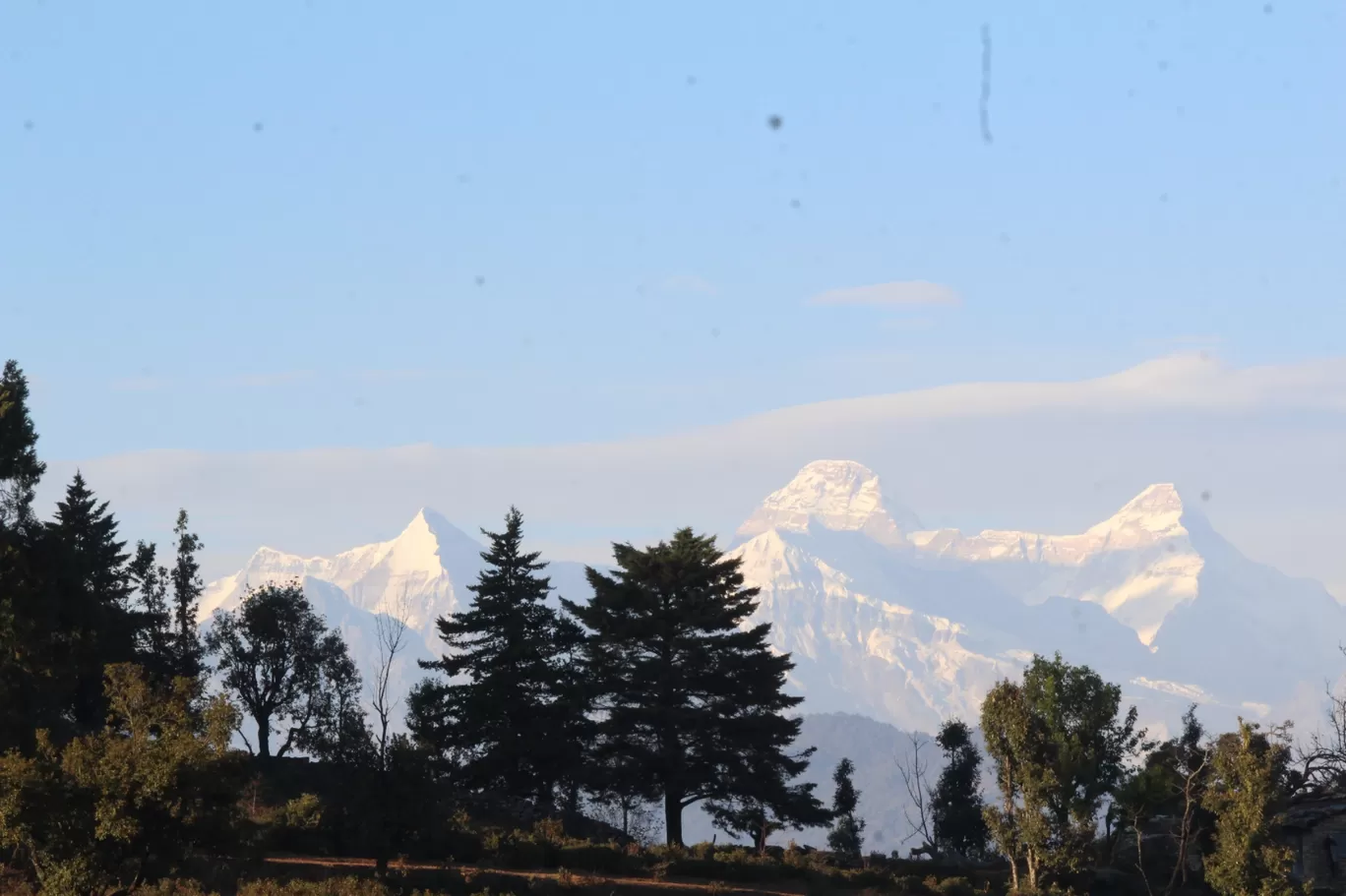 Photo of Chaukori By Pankaj Mehta Traveller