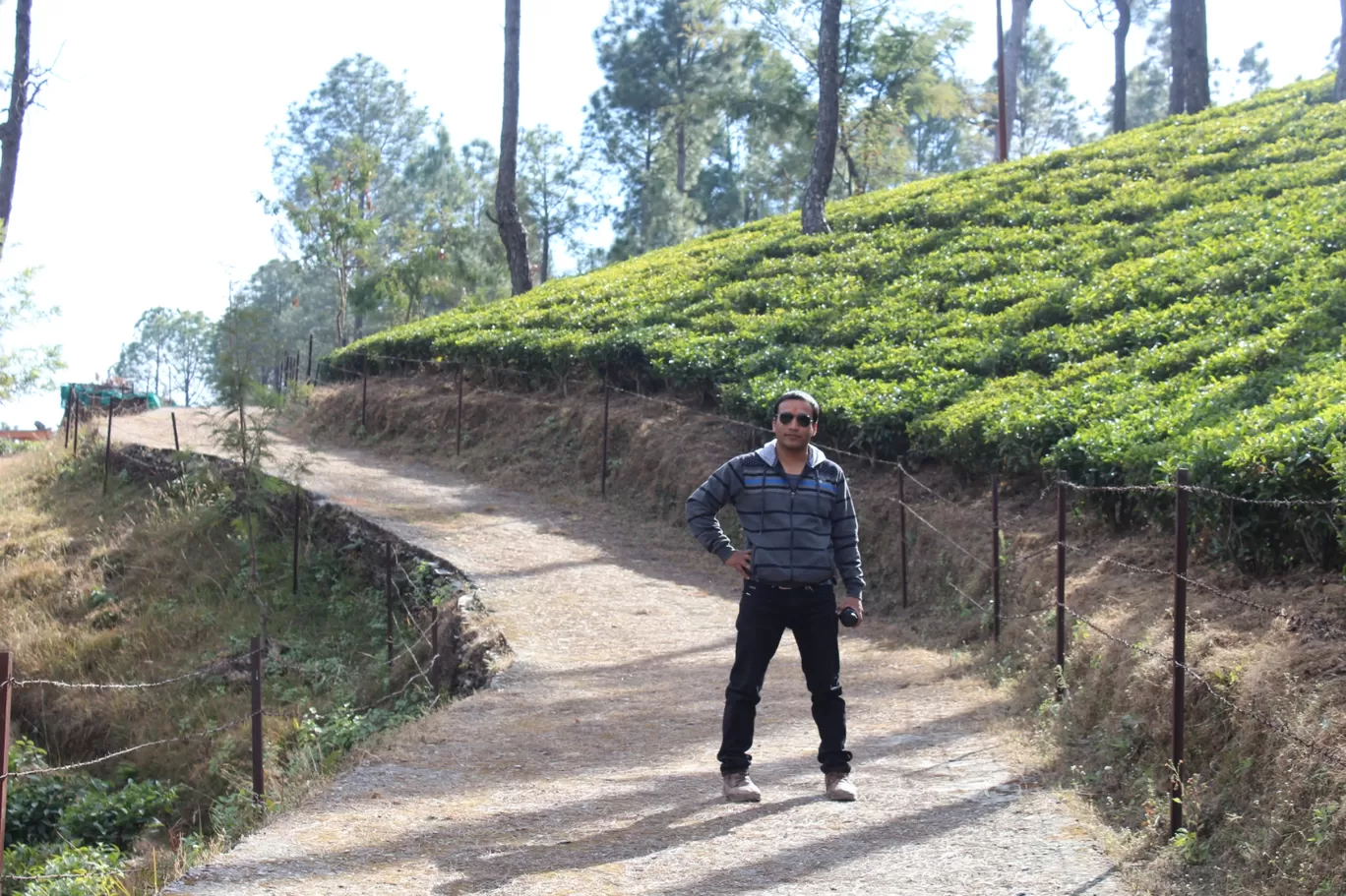 Photo of Kausani Tea Estate By Pankaj Mehta Traveller