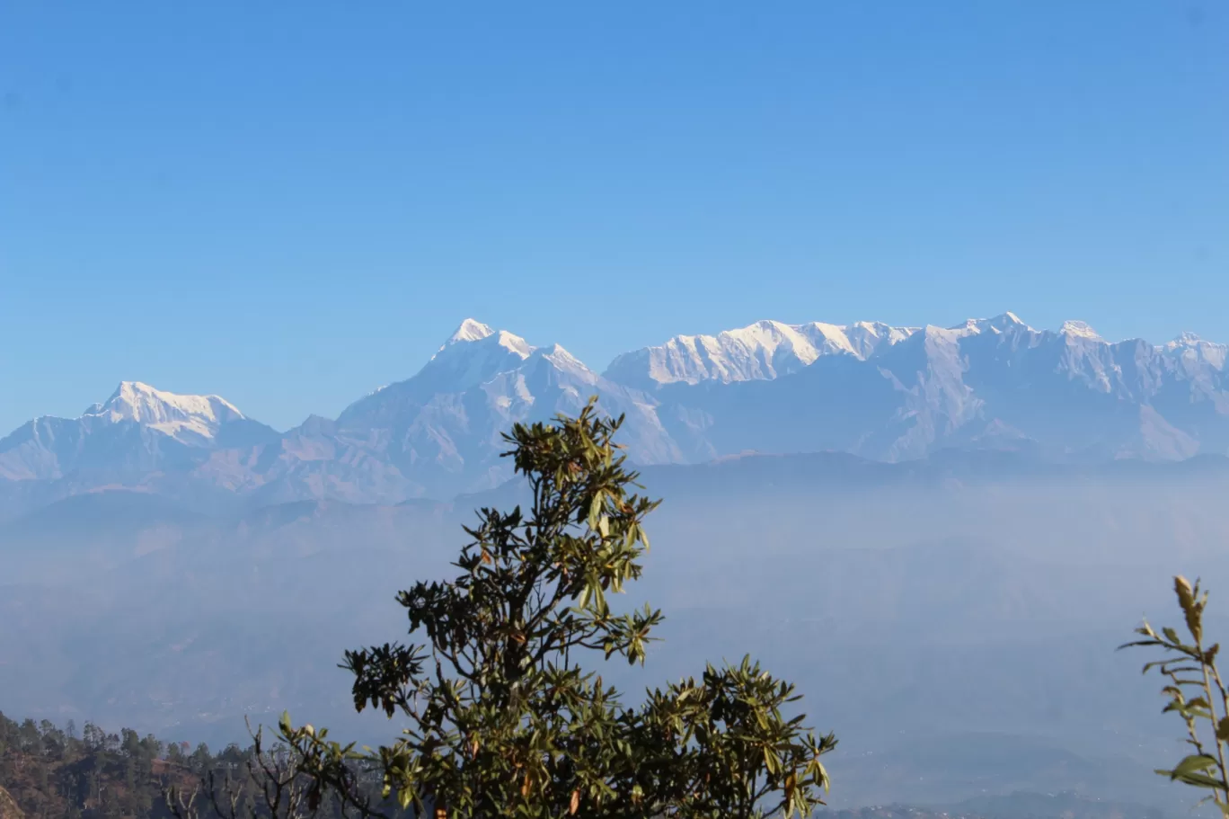 Photo of Pinath Mandir By Pankaj Mehta Traveller