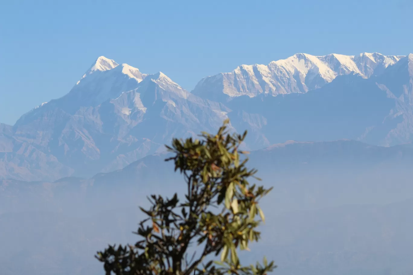 Photo of Pinath Mandir By Pankaj Mehta Traveller