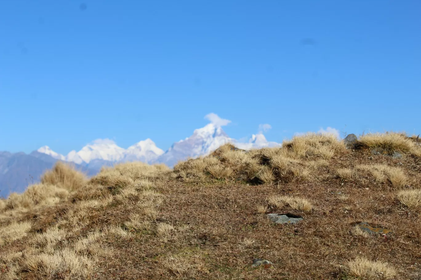 Photo of Rudranath Temple By Pankaj Mehta Traveller