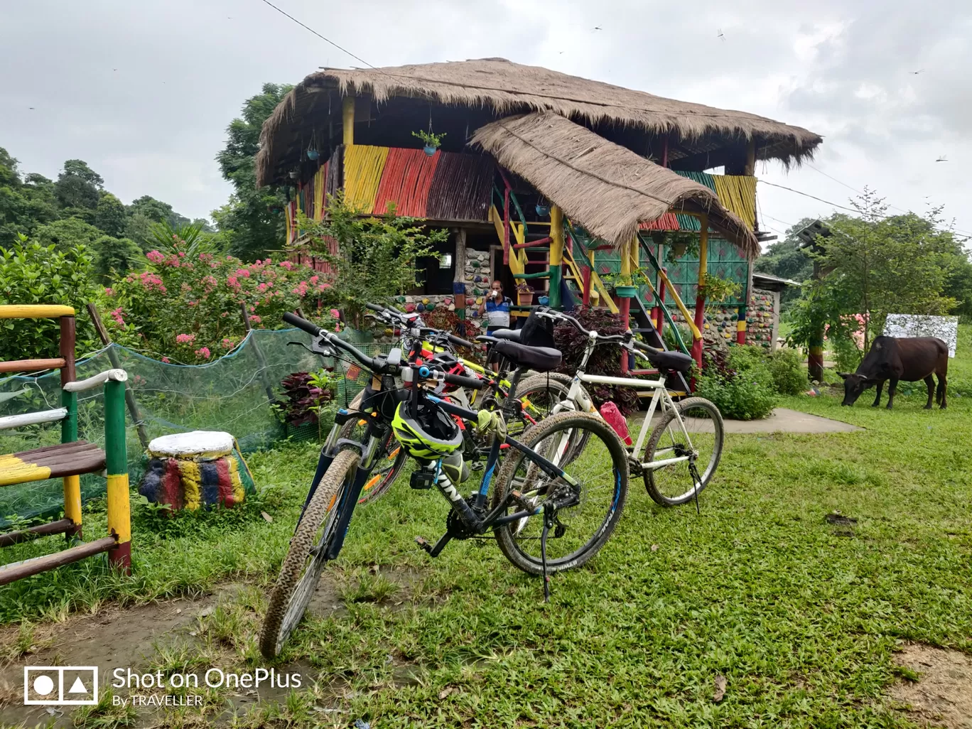 Photo of Dimakuchi By Pankaj Mehta Traveller
