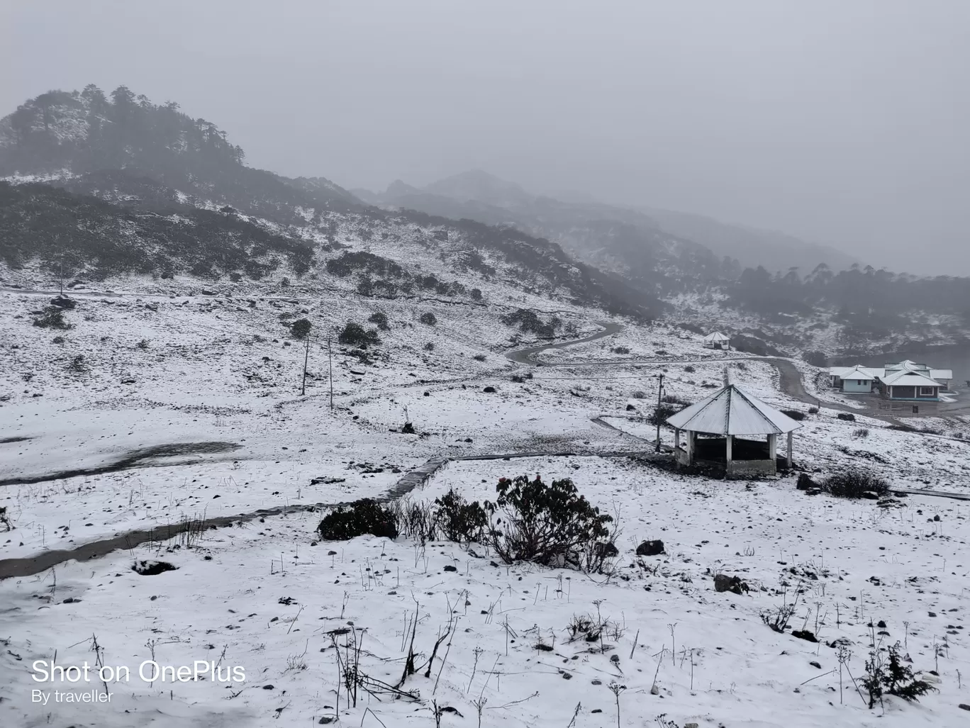 Photo of Bum La Pass By Pankaj Mehta Traveller