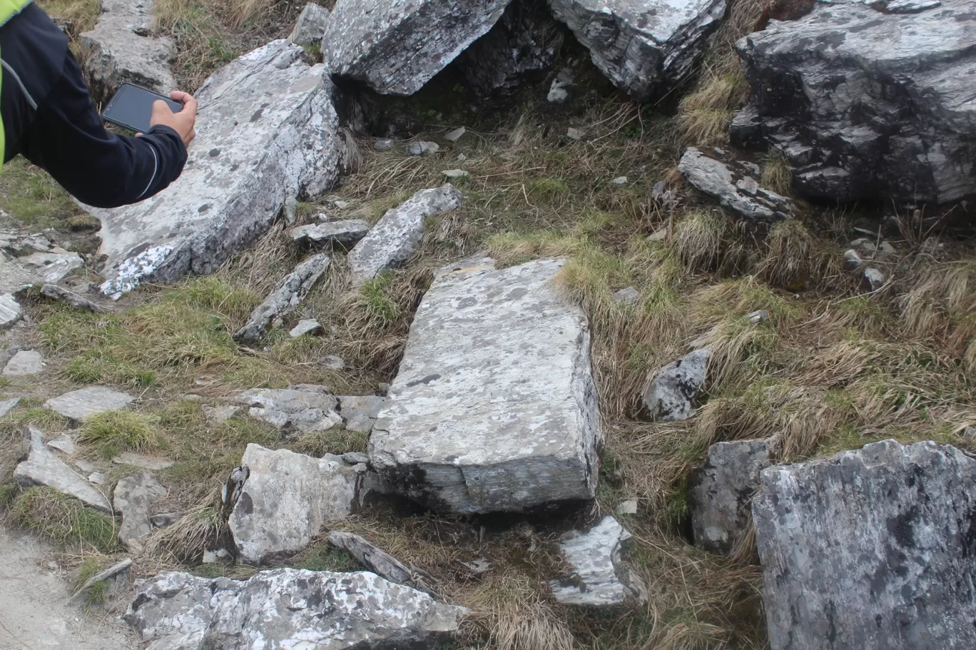 Photo of Panar Bugyal By Pankaj Mehta Traveller