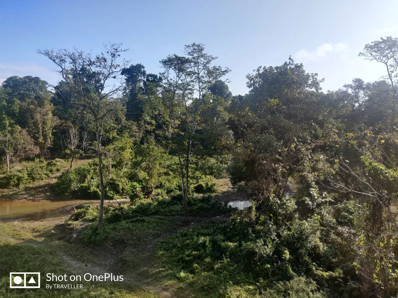 Photo of Nameri National park By Pankaj Mehta Traveller