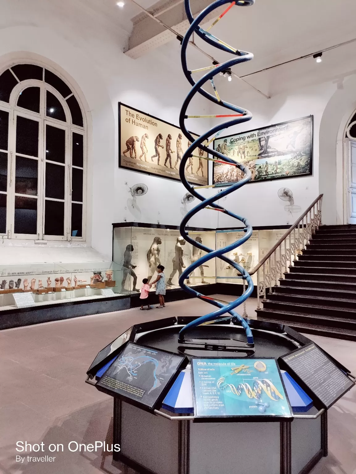 Photo of Indian Museum By Pankaj Mehta Traveller