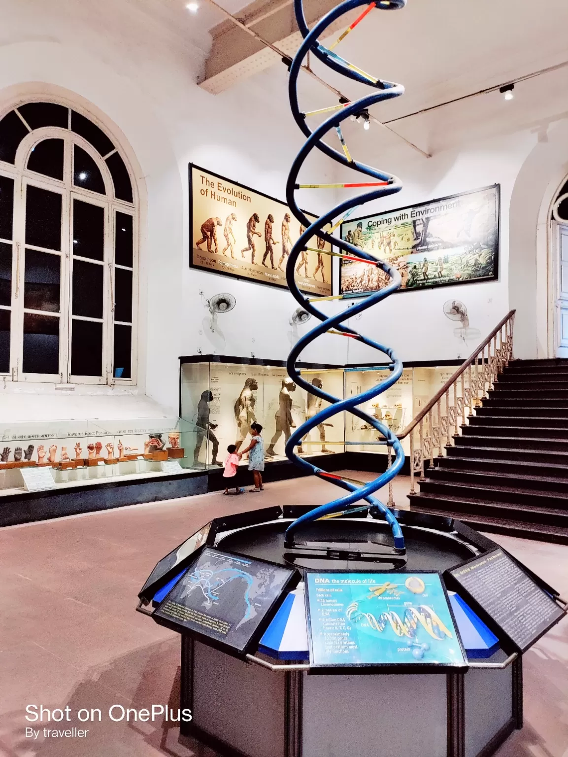 Photo of Indian Museum By Pankaj Mehta Traveller