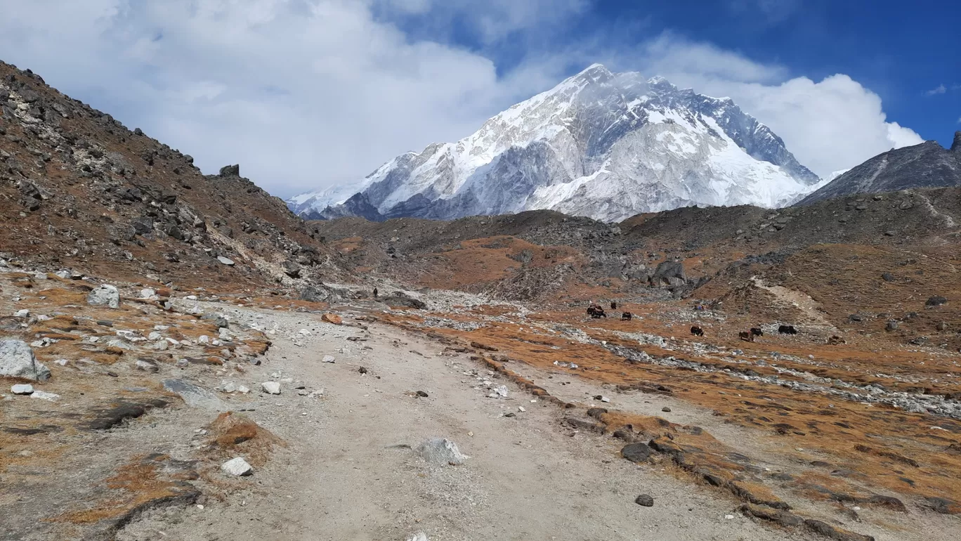 Photo of Dingboche By Pankaj Mehta Traveller