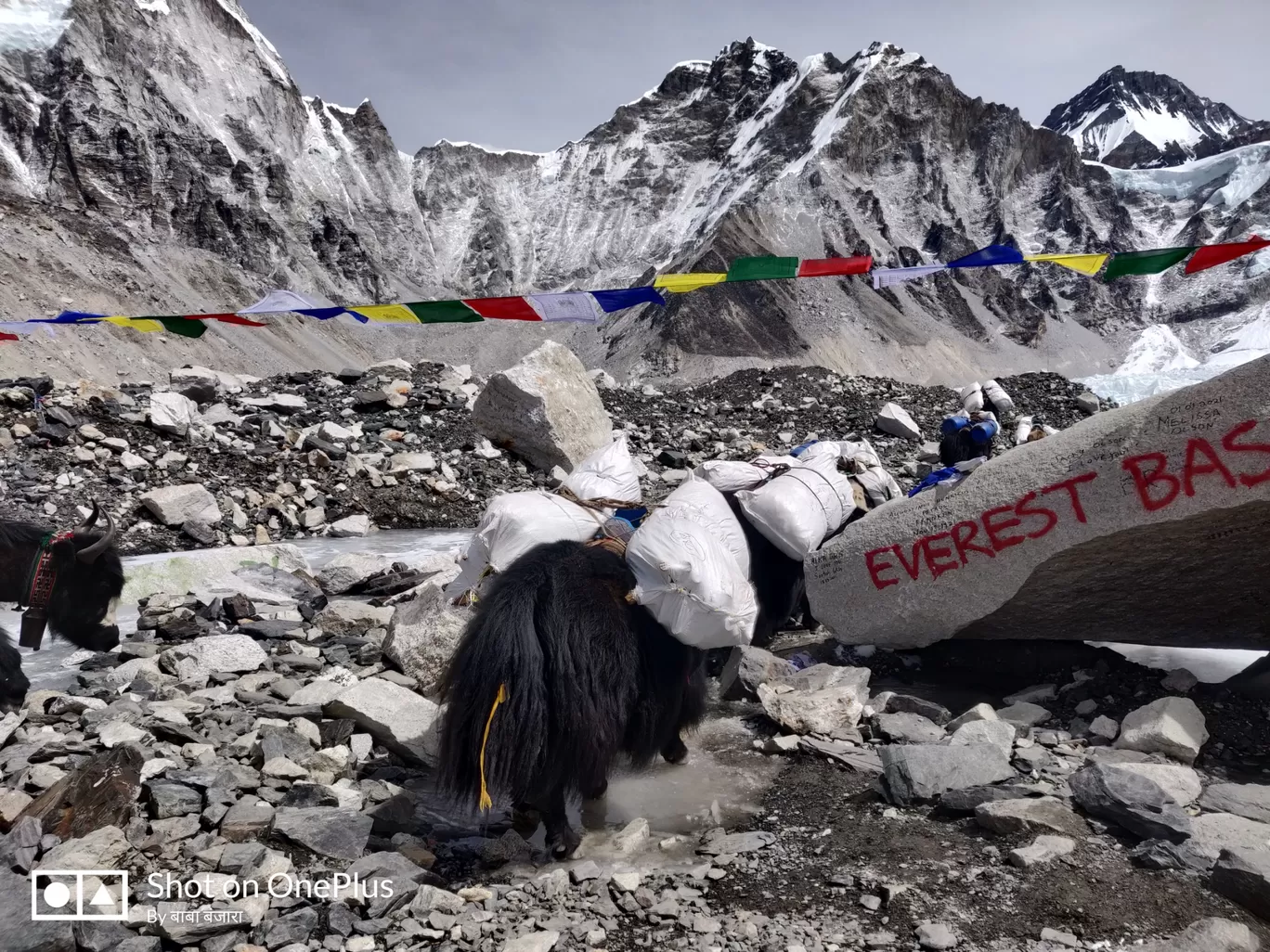 Photo of Everest Base Camp By Pankaj Mehta Traveller