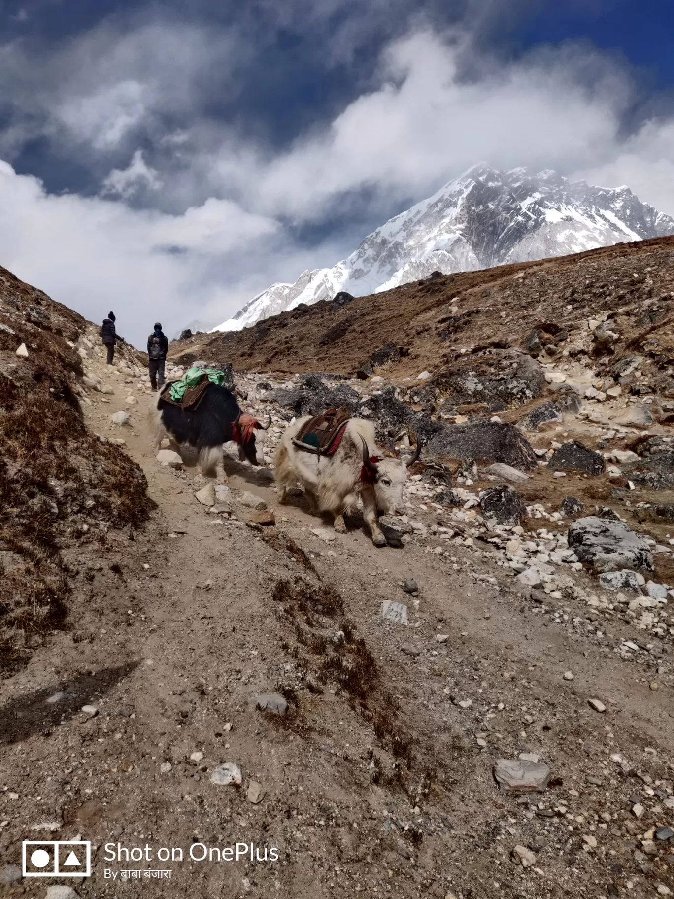 Photo of Lobuche By Pankaj Mehta Traveller