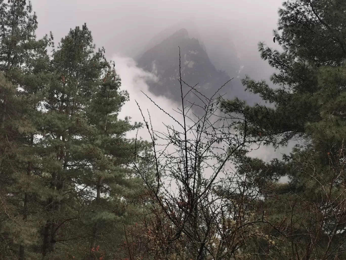 Photo of Namche By Pankaj Mehta Traveller