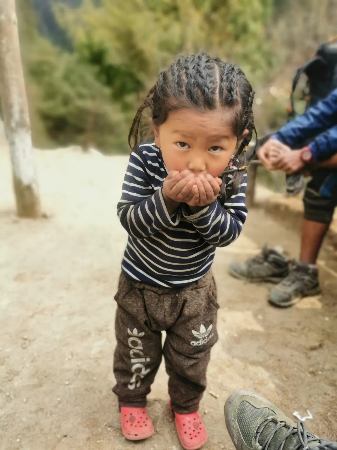 Photo of Sagarmatha National Park By Pankaj Mehta Traveller