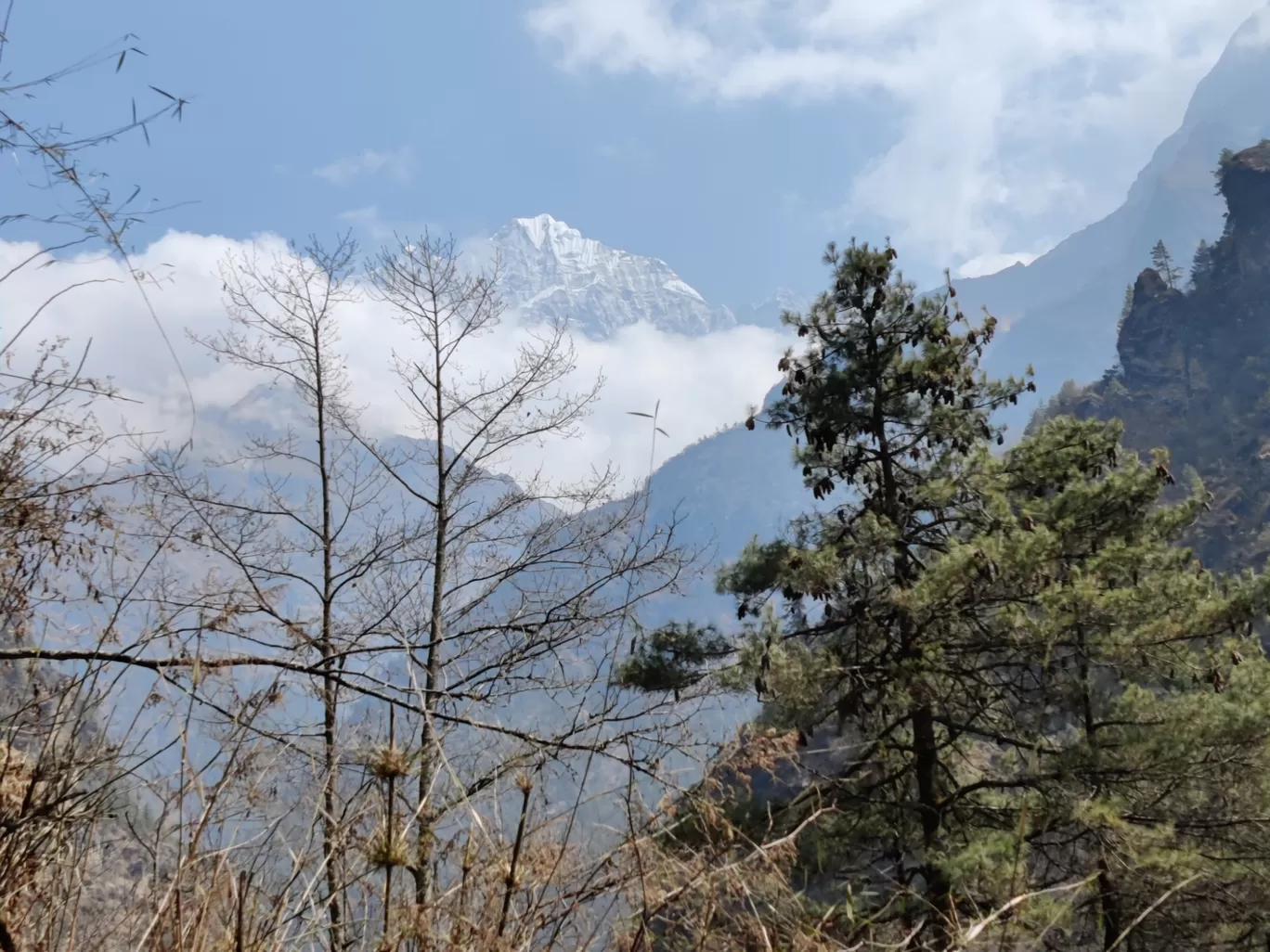 Photo of Monjo By Pankaj Mehta Traveller