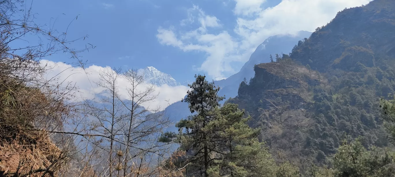 Photo of Monjo By Pankaj Mehta Traveller