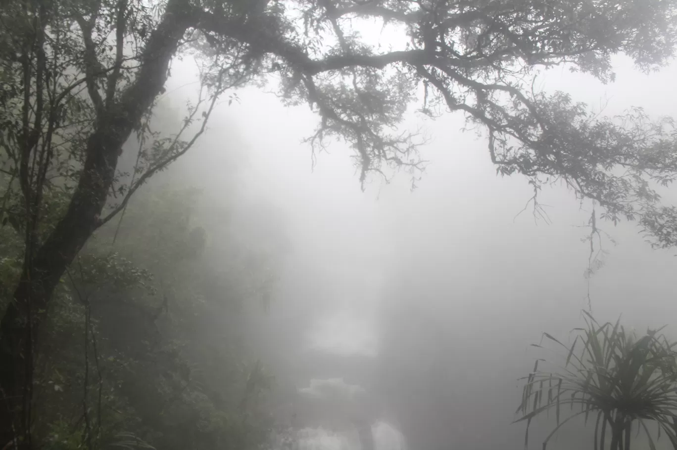 Photo of Cherrapunji‎ By Pankaj Mehta Traveller