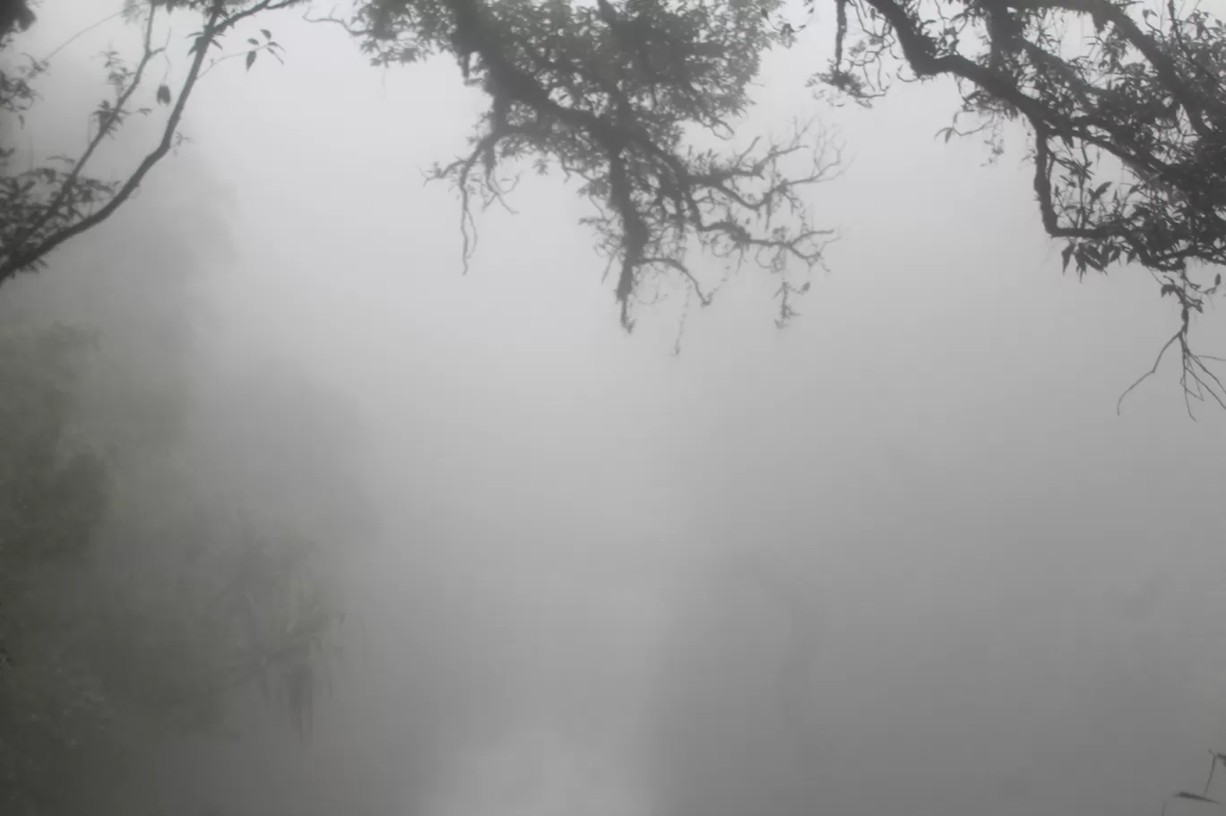 Photo of Cherrapunji‎ By Pankaj Mehta Traveller