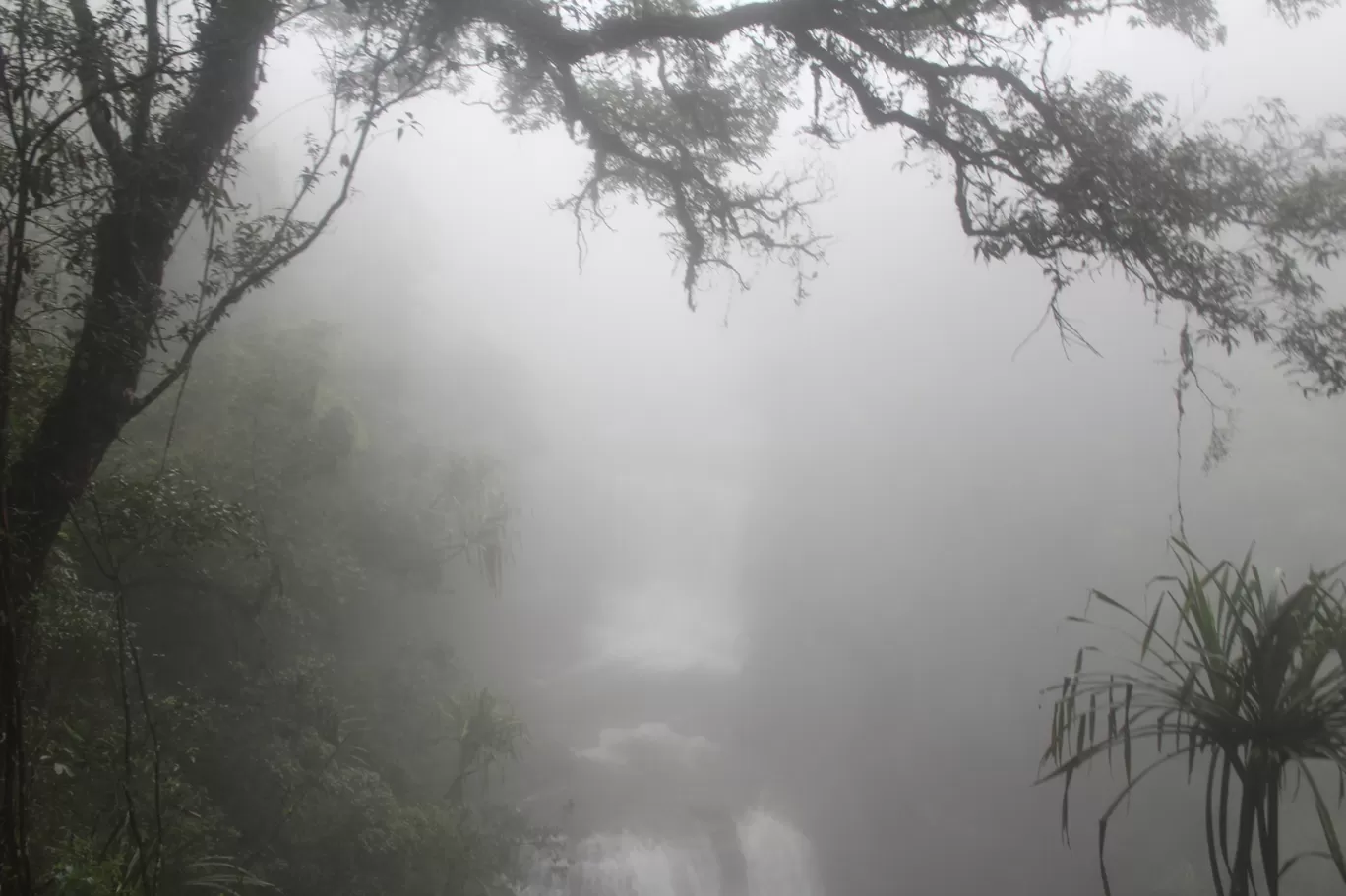 Photo of Cherrapunji‎ By Pankaj Mehta Traveller