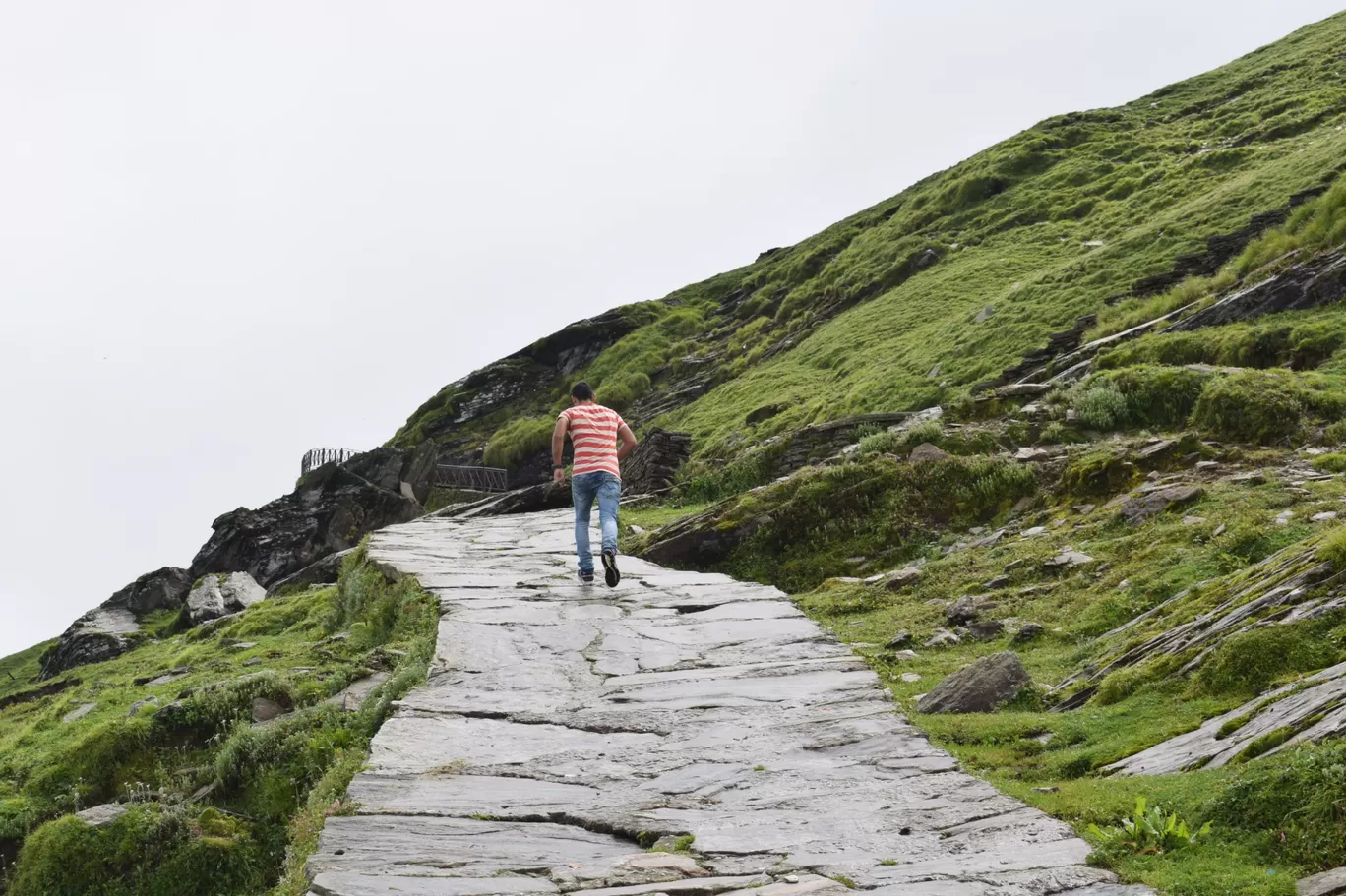Photo of Tungnath By Pankaj Mehta Traveller