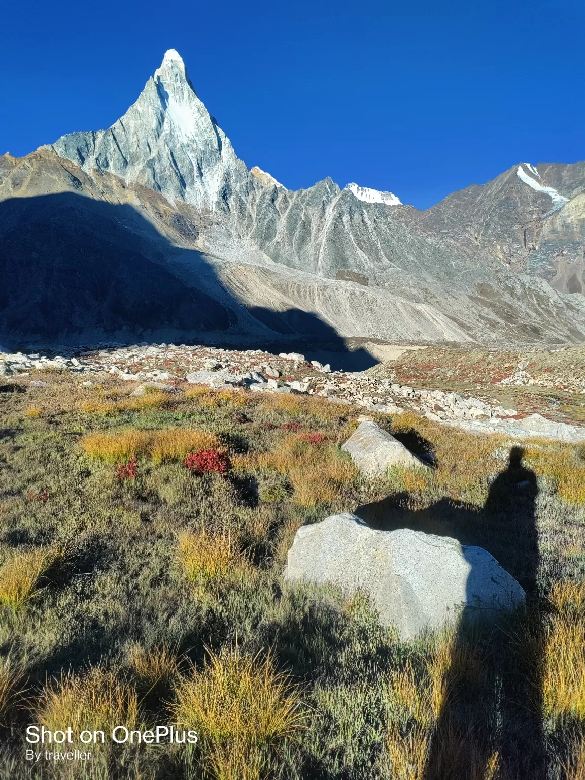 Photo of Gangotri National Park By Pankaj Mehta Traveller