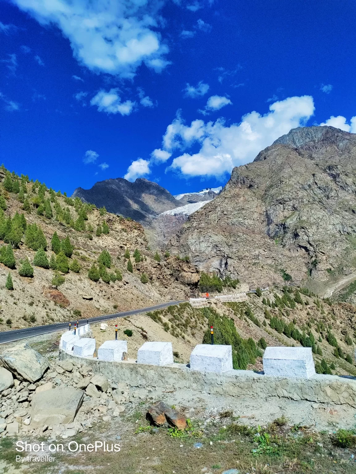 Photo of Darcha By Pankaj Mehta Traveller