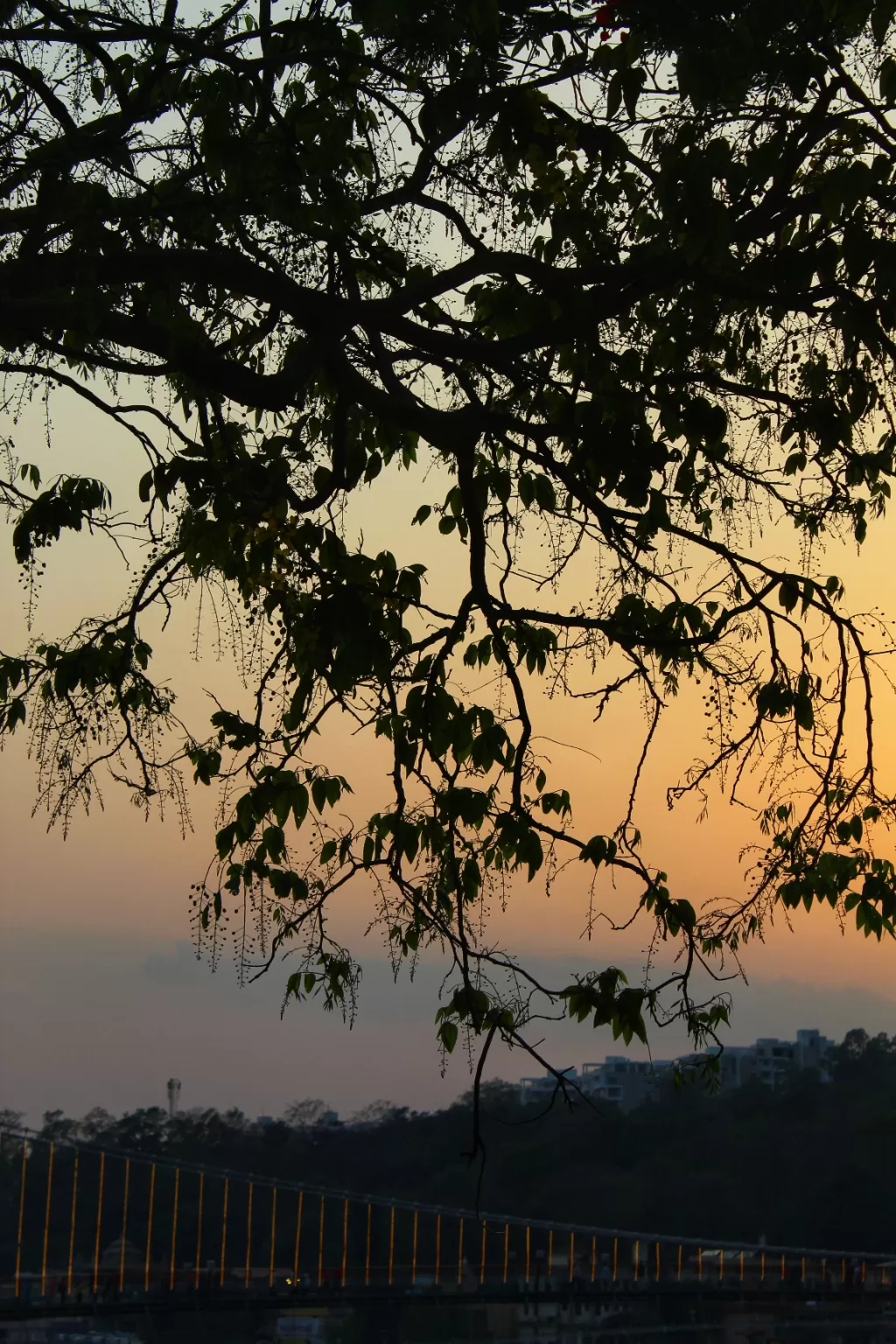Photo of Rishikesh By Mashed_potato