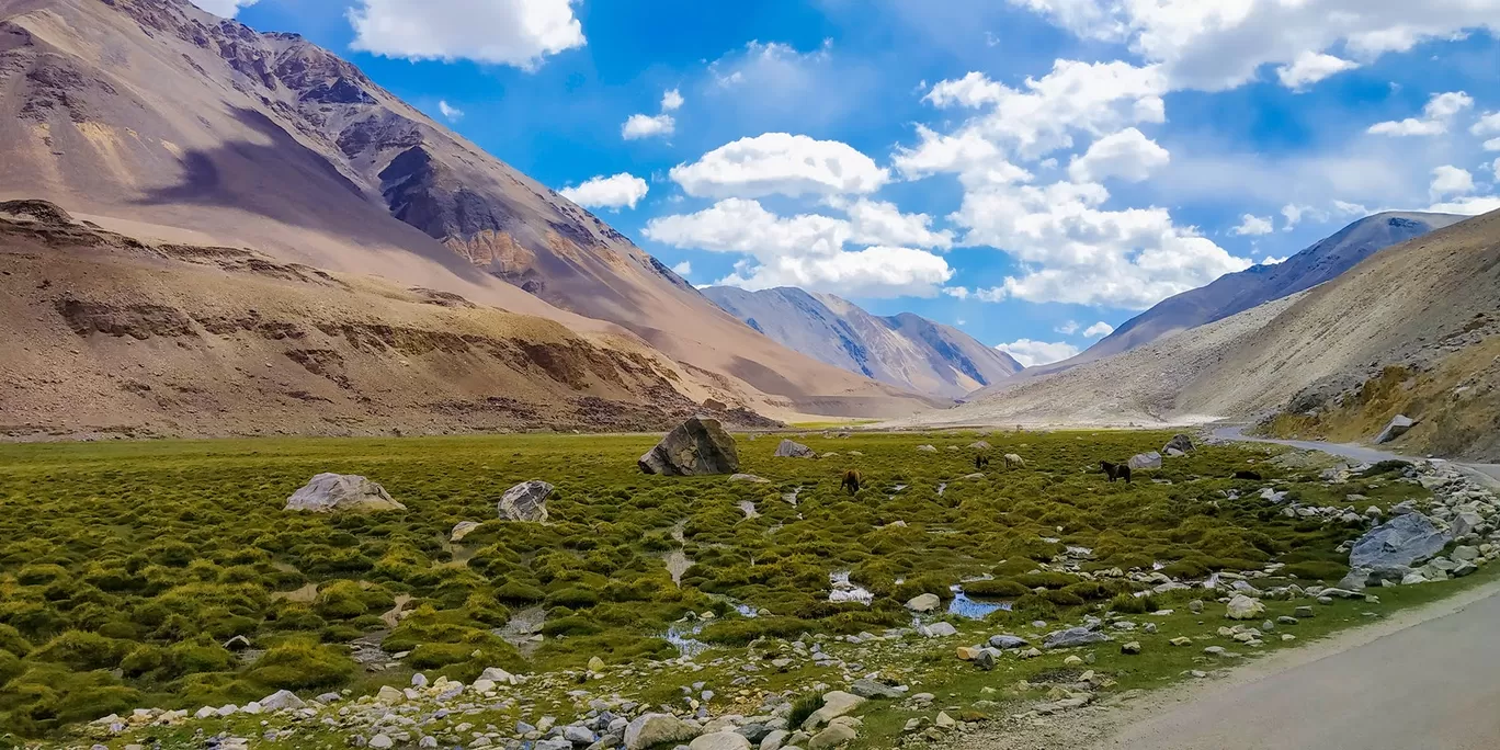 Photo of Ladakh By Gurinder Singh