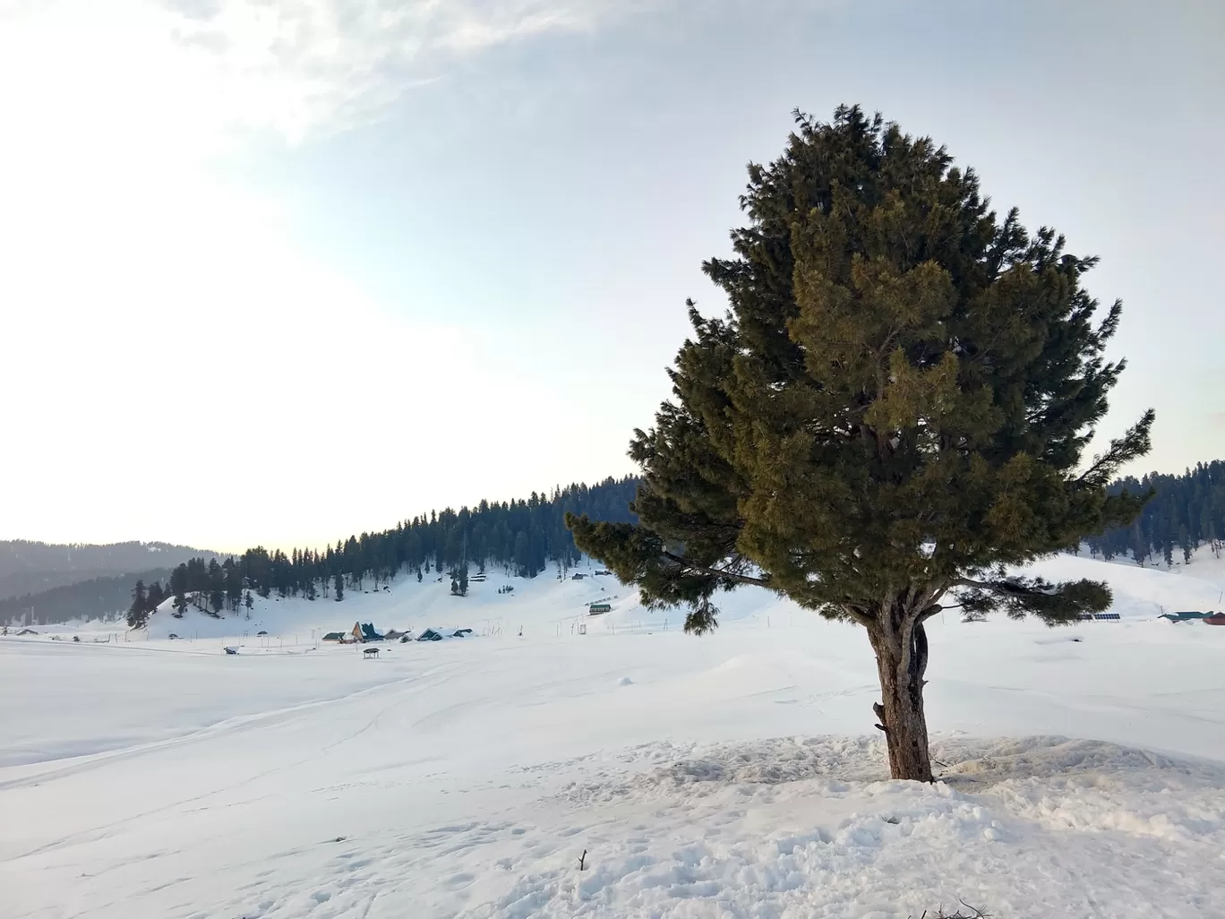 Photo of Gulmarg By Deepika Kateja
