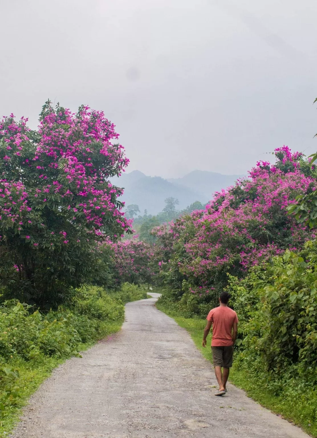 Photo of Darjeeling By Matrika Tamang