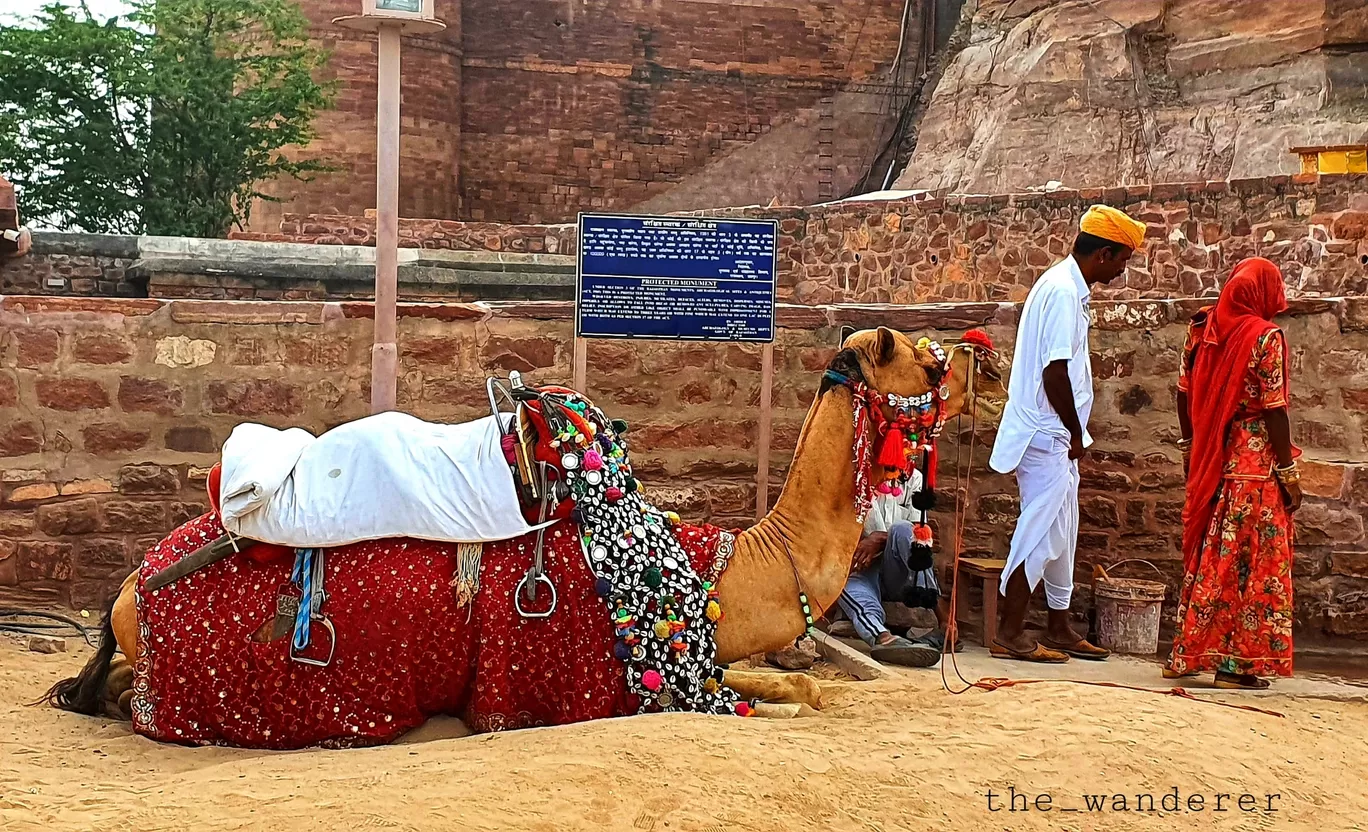 Photo of Jodhpur By Archie Chittora