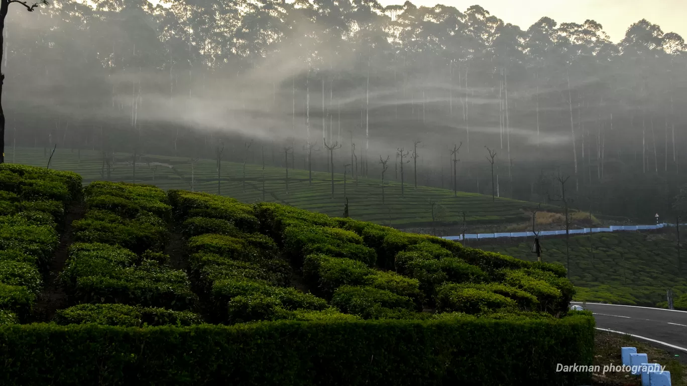 Photo of Valparai By ramesh kumar