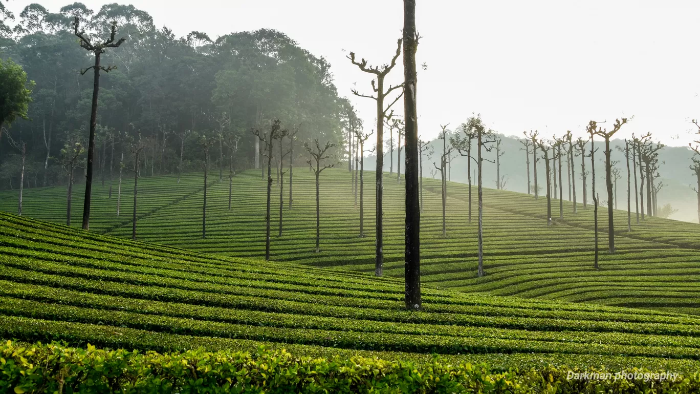 Photo of Valparai By ramesh kumar