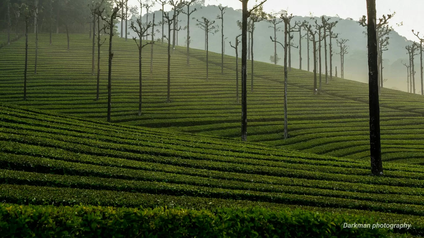 Photo of Valparai By ramesh kumar