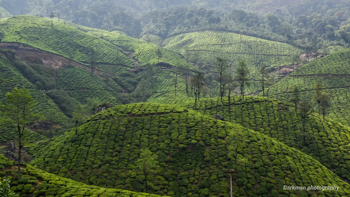 Photo of Valparai By ramesh kumar