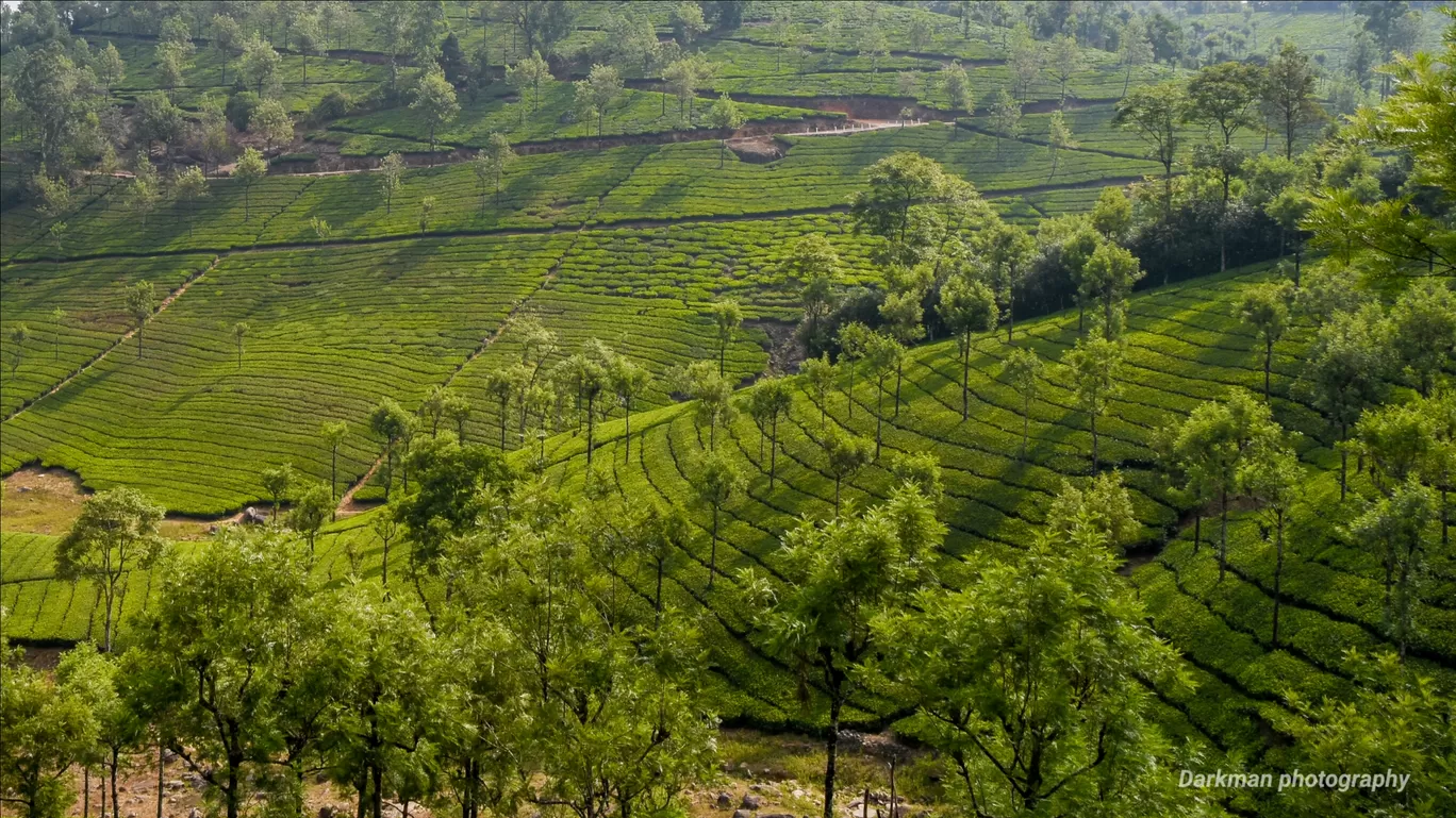 Photo of Valparai By ramesh kumar