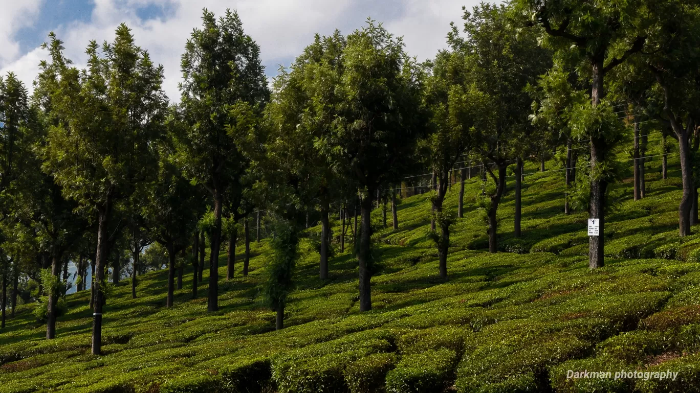 Photo of Valparai By ramesh kumar