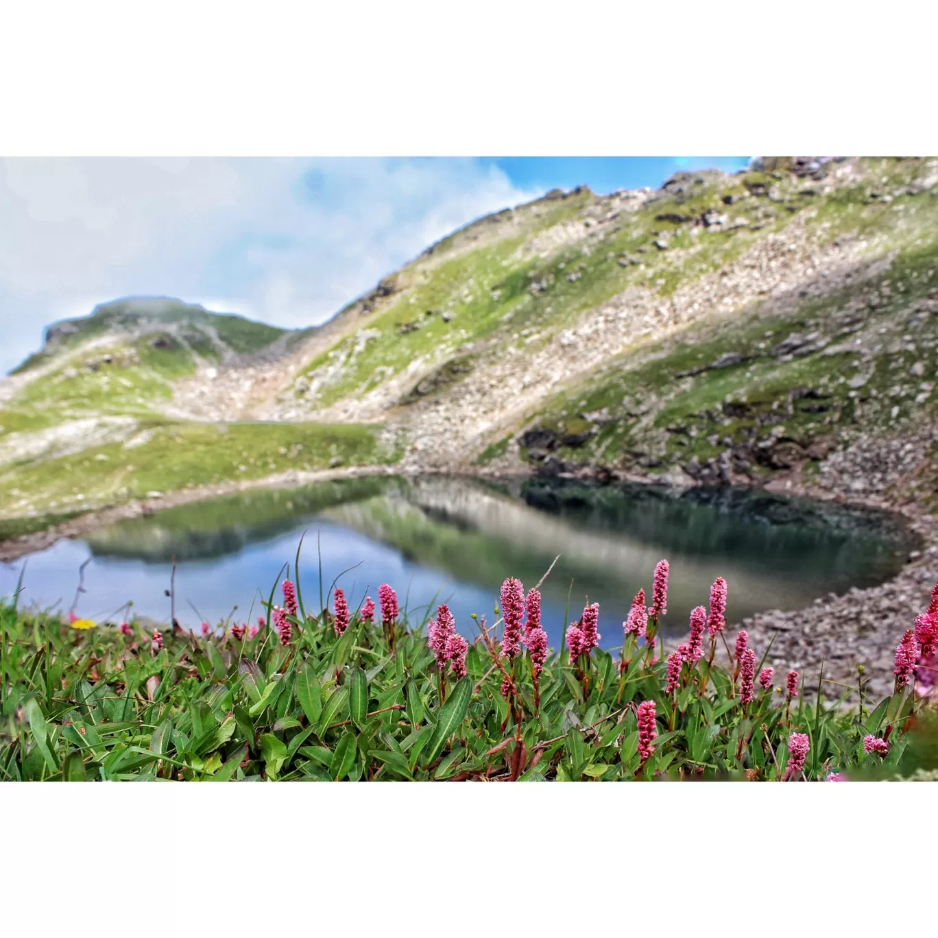 Photo of Bhrigu Lake Trek By Shivali Rai
