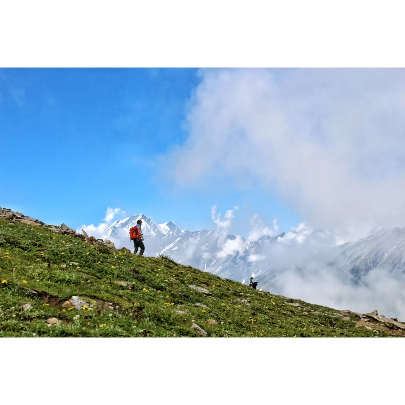 Photo of Bhrigu Lake Trek By Shivali Rai