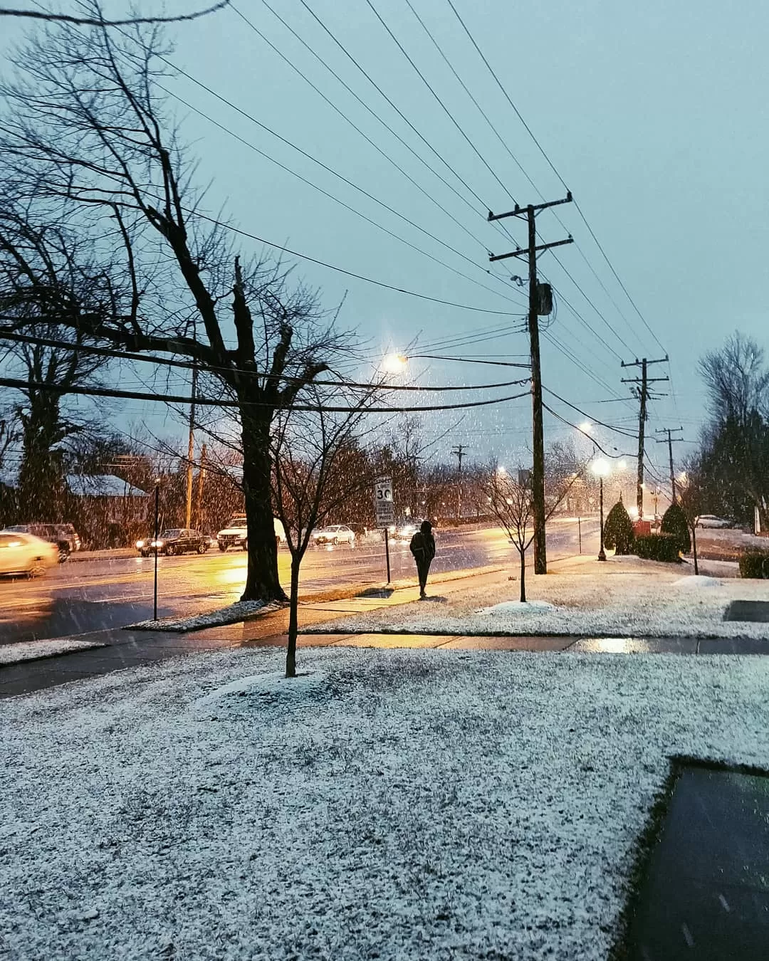 Photo of Washington By Kalpita Raut