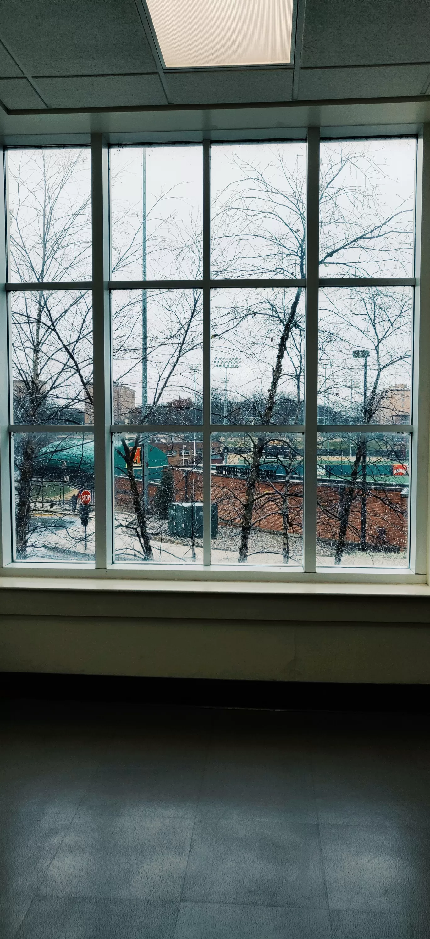 Photo of Washington By Kalpita Raut