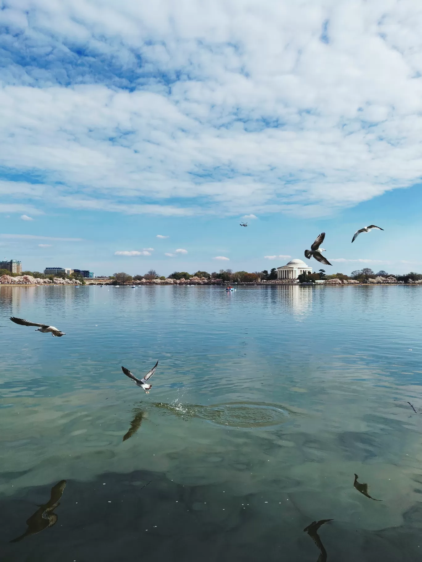 Photo of Washington By Kalpita Raut