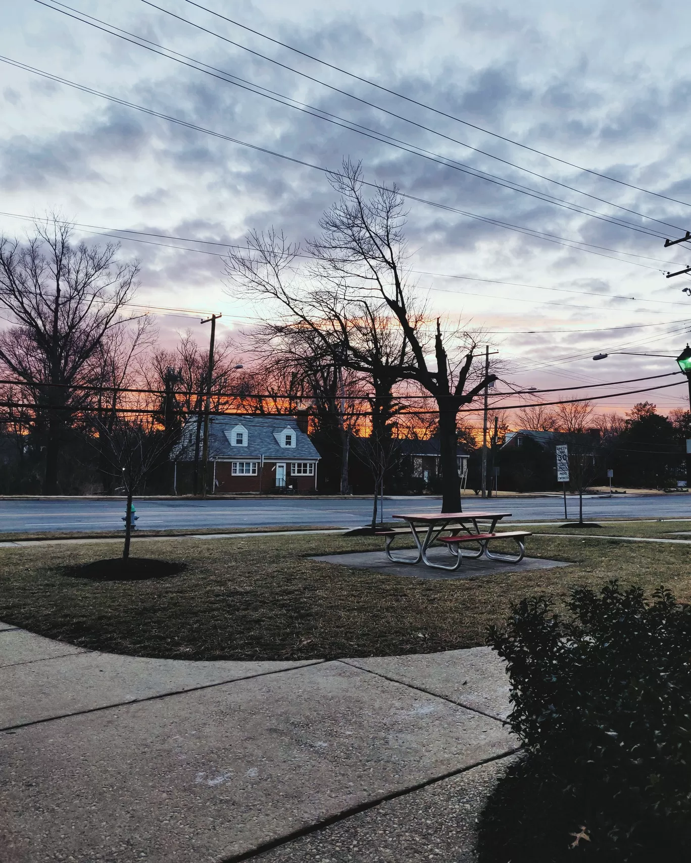 Photo of Washington By Kalpita Raut