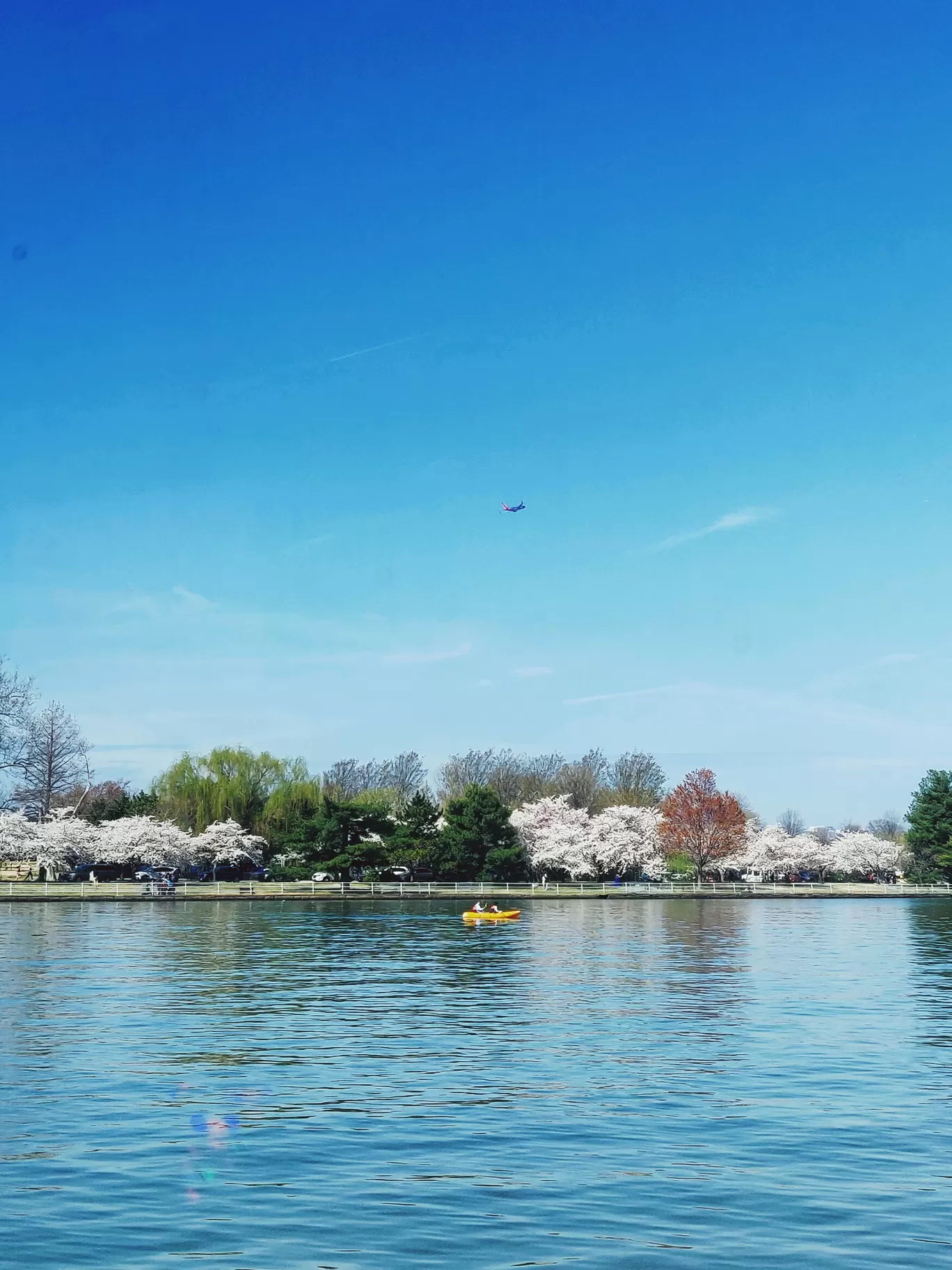 Photo of Washington By Kalpita Raut