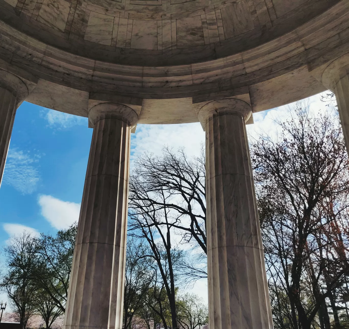 Photo of Washington By Kalpita Raut