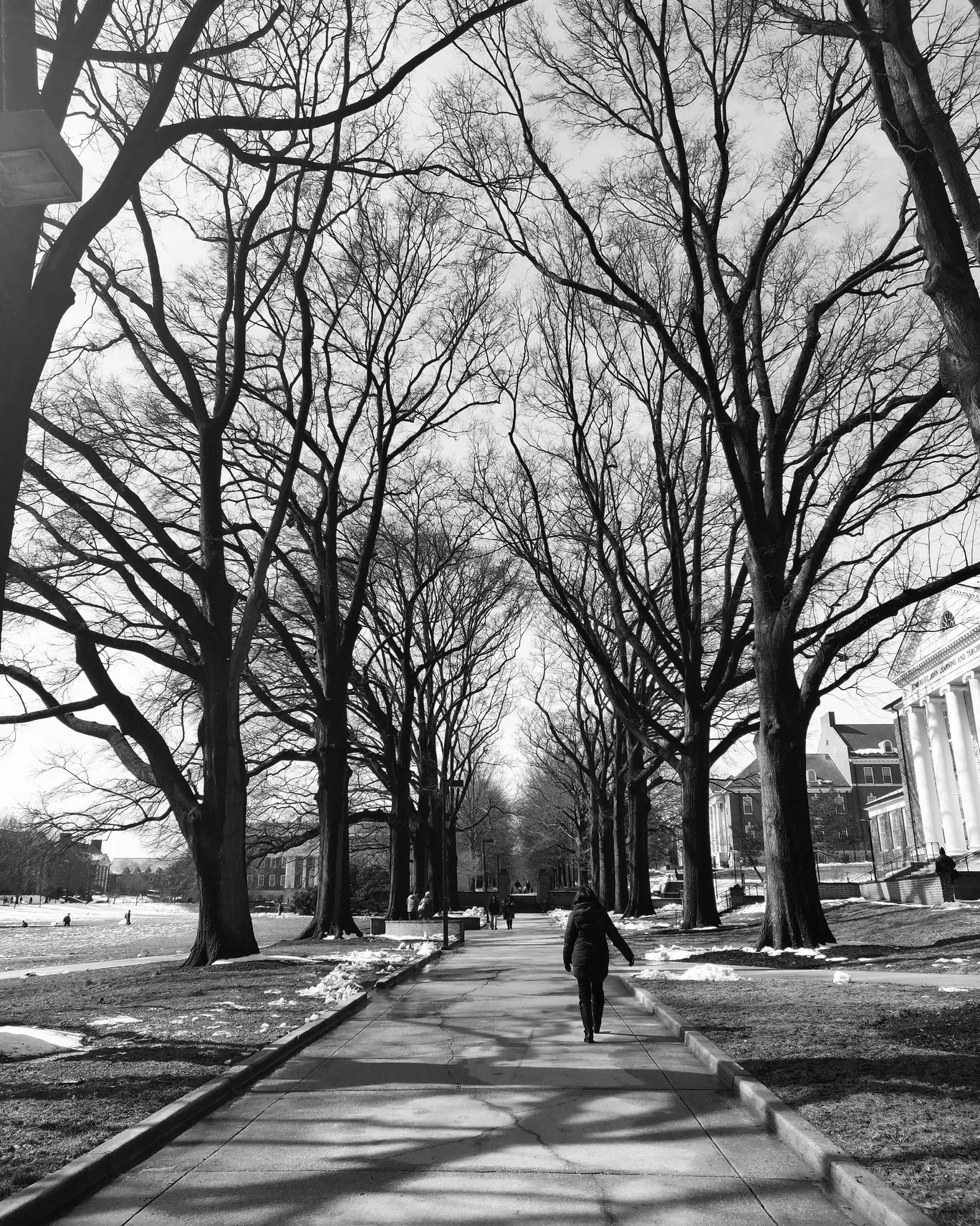 Photo of Washington By Kalpita Raut